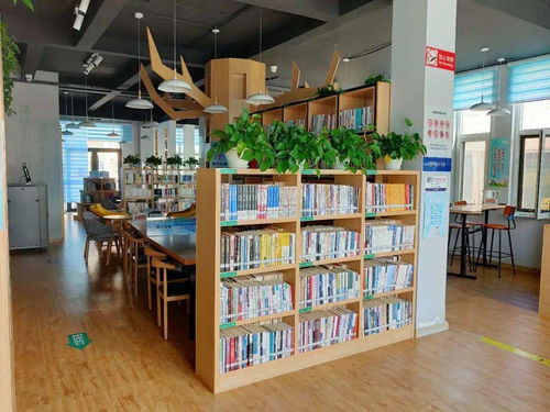 经区创新方式丰富公共文化服务产品供给，幼儿园外托管服务获赞誉